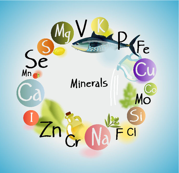 wichtige Mineralstoffe fuer das Immunystem ANWIMED