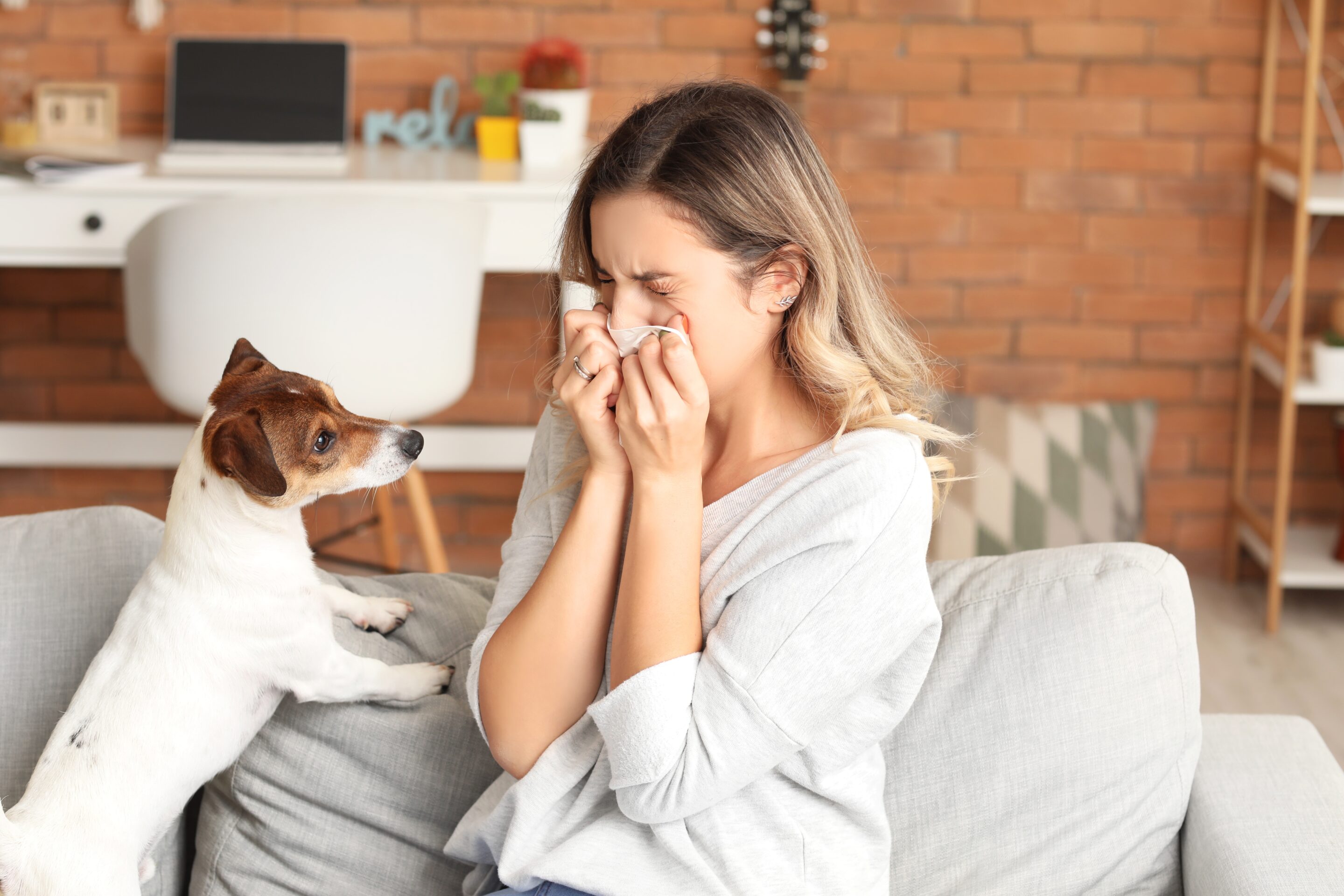 Allergie_gegen_Haustier_Hilfe_von_ANWIMED