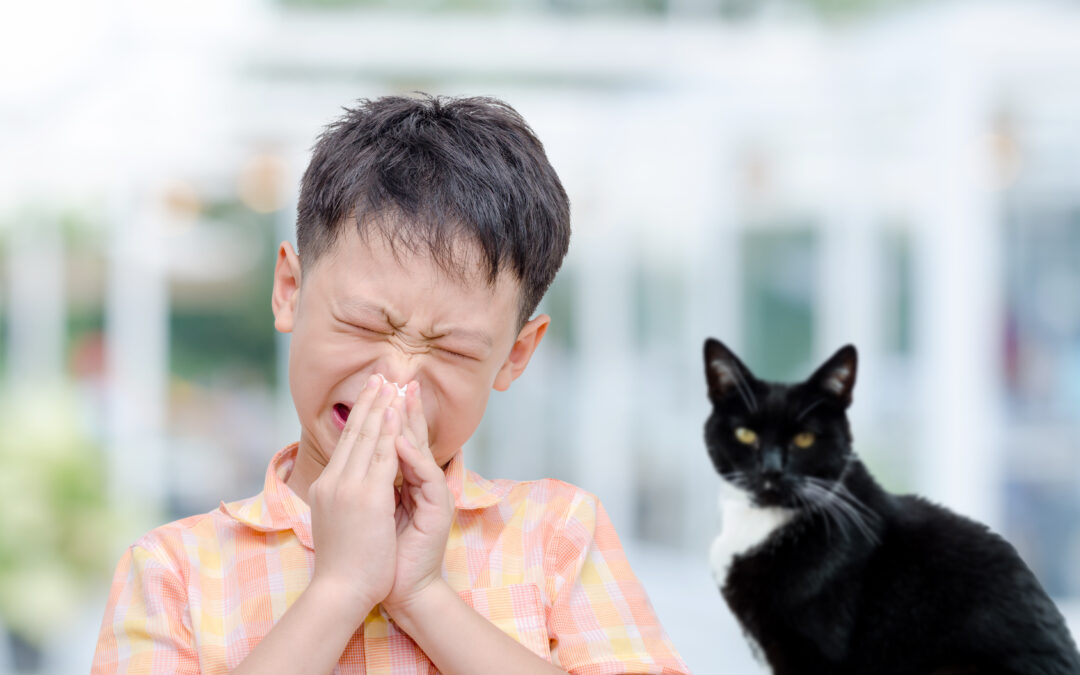 Tier(haar)allergie