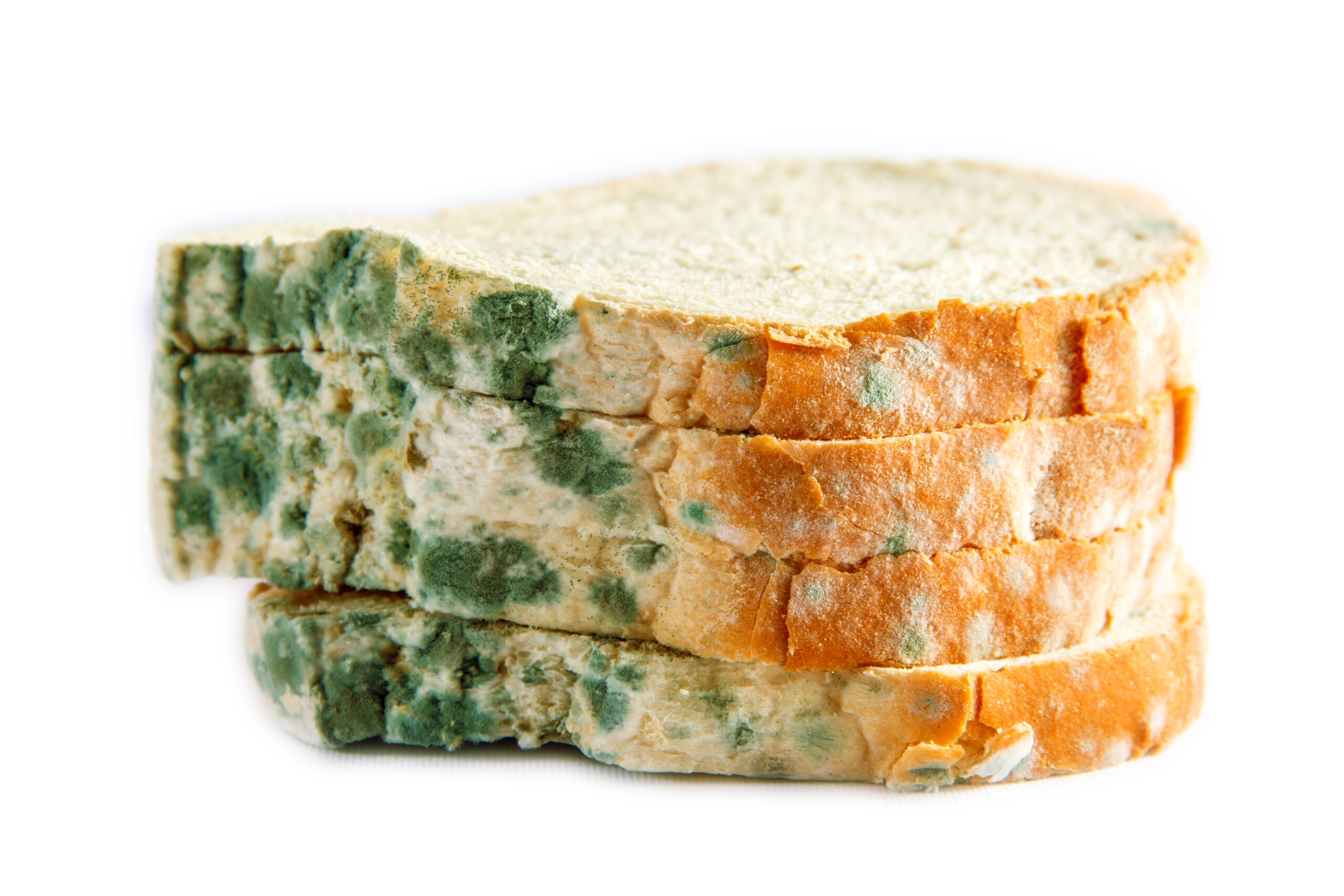 Schimmelpilz auf Lebensmittel hier Brot Hilfe von ANWIMED scaled