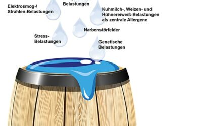 Der Mensch als Fass – Allergen-Belastungen