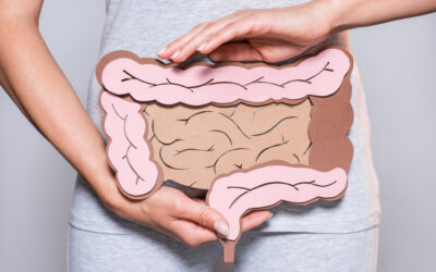 Der Darm und sein Einfluss auf das Immunsystem und Allergien