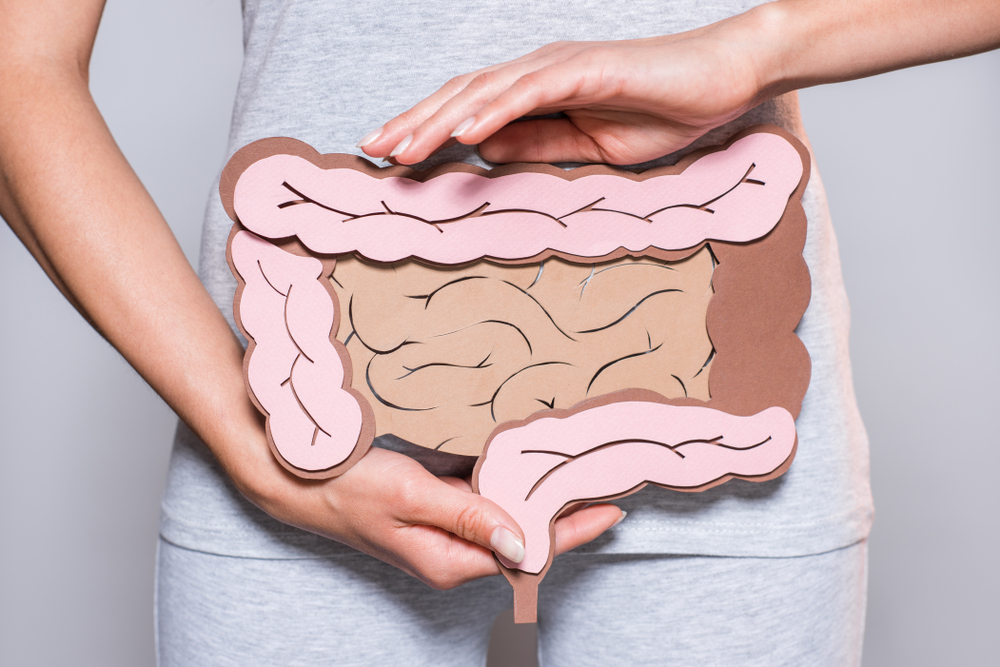 Der Darm und sein Einfluss auf das Immunsystem und Allergien